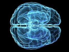 Elettrodi nel cervello restituiscono il tatto a uomo paralizzato
