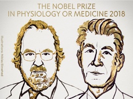 Nobel per la Medicina diviso tra Usa e Giappone, gli scienziati premiati