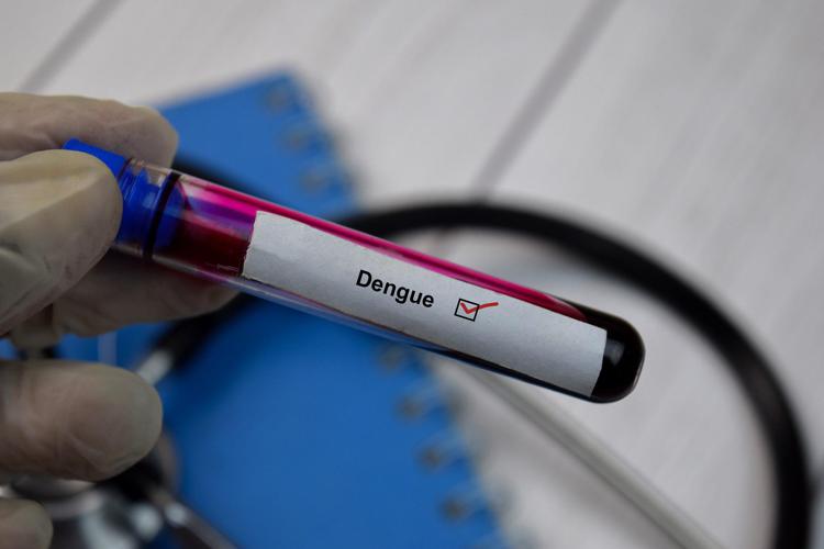 Dengue, nuova circolare a Regioni, allerta per ridurre rischio di trasmissione autoctona